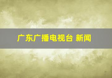 广东广播电视台 新闻